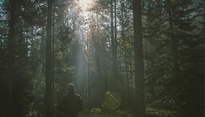 Rania El-Masri cover